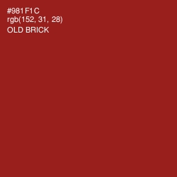 #981F1C - Old Brick Color Image